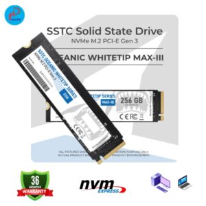 Ổ Cứng Máy Tính - SSD SSTC 256Gb M.2 NVMe PCle