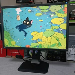 EIZO 24inch (2)