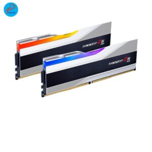 Ram Gskill D5