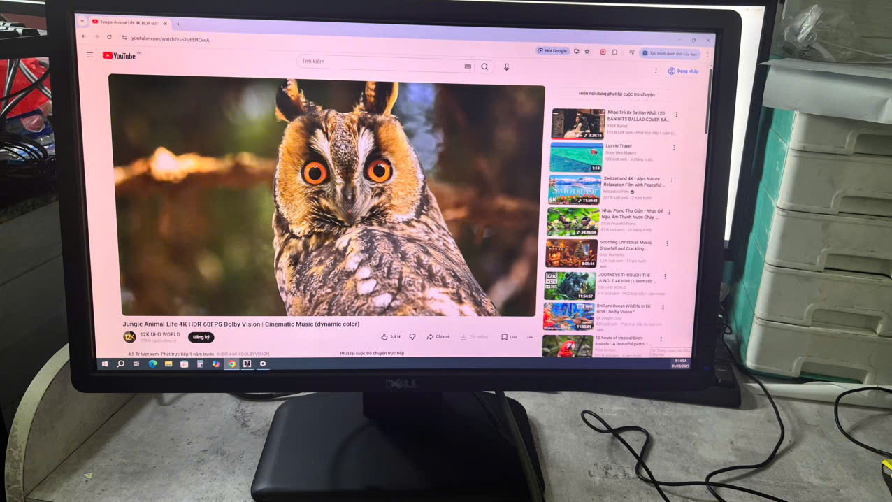 z7283103031802 ff3ae238acb4c58df7ff30734dd97f05